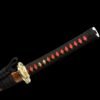 Black And Gold Katana