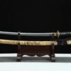 Black And Gold Sword