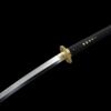 Black Dragon Katana Sword