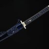 Blue Sword