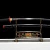 Tomioka Giyuu Sword